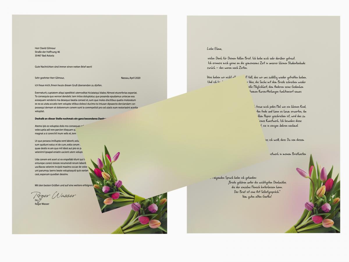 Motivpapier Tulpen im Sonnenlicht Briefpapier mit Motiv